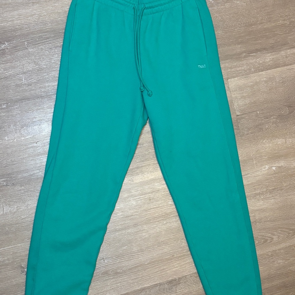 TNA Aritzia Green Jogger Pants